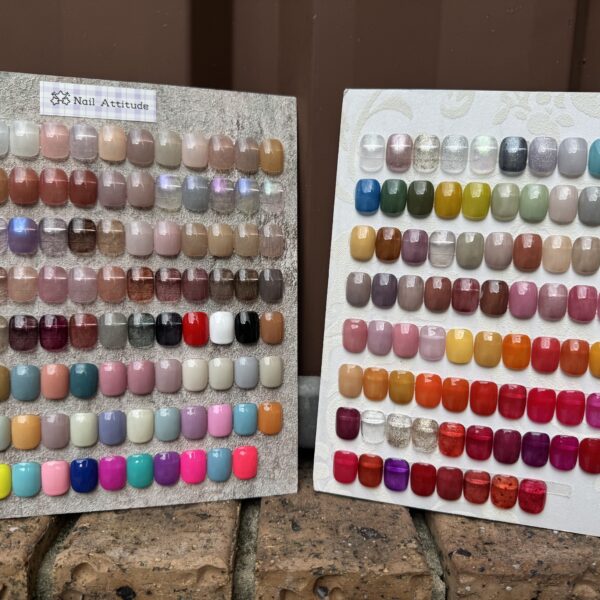 166 colors Shellac Gel Nail Polish set