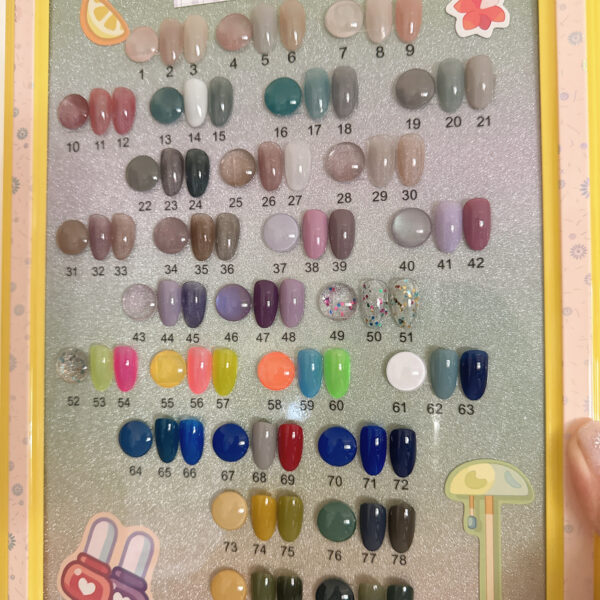 84 colors shellac Gel Nail Polish set